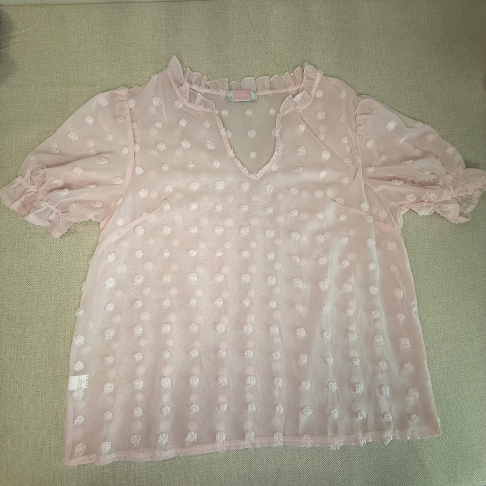 C+D+M Collection Pink Swiss Dot Chiffon Ruffle V-Neck Puff Sleeve Blouse Large